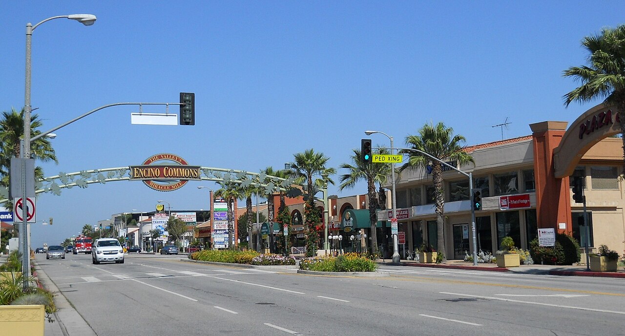Viking repair in Encino, CA