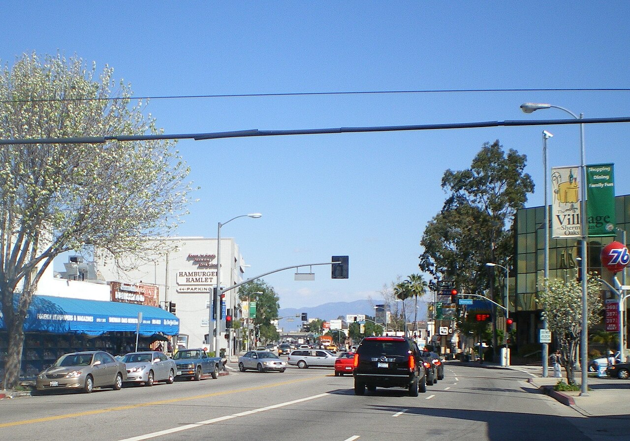 Viking repair in Sherman Oaks, CA