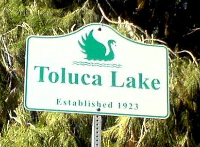 Viking repair in Toluca Lake, CA